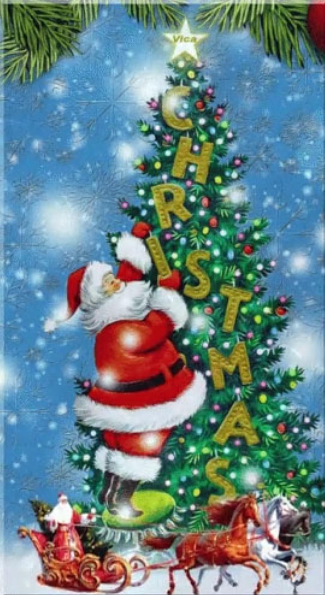 Merry Christmas Everyone