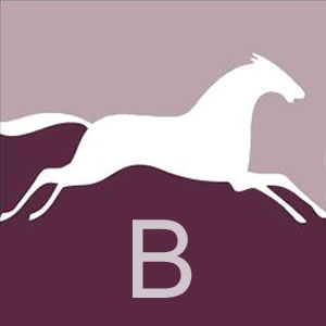 White Horse B team icon